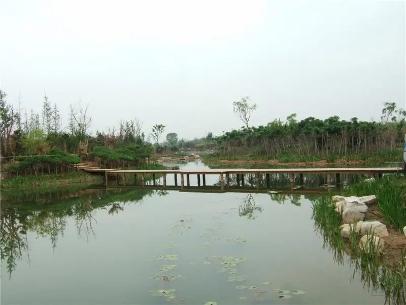 【五一出遊寫真集】〓 白浪綠洲溼地公園