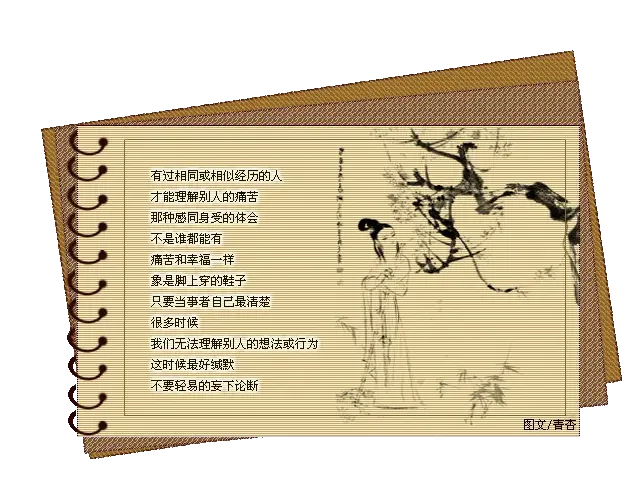 落花无言 人淡如菊