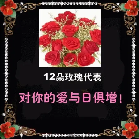 卡啦ok《你是我的玫瑰花》附:玫瑰花图片