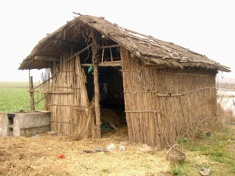 其实房子不仅仅是房子