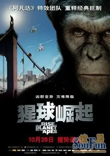 《猩球崛起》真的超好看,你看了吗?强烈推荐给大家!