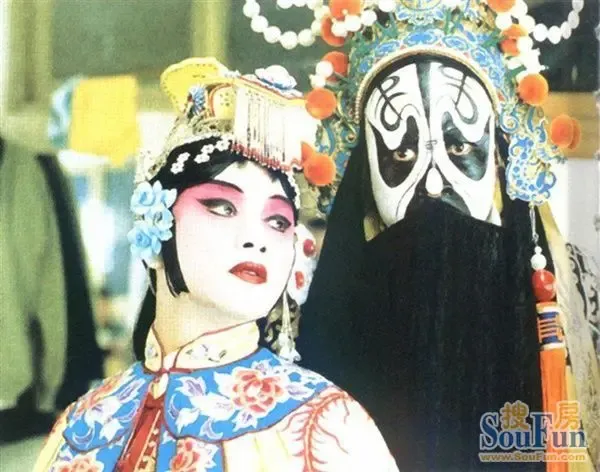 说好了的一辈子,少一秒钟都不能是一辈子……程蝶衣是个不疯魔不成活