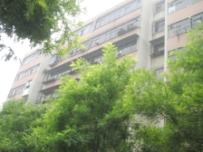 金京花苑户型方正客厅带大窗户明亮通透