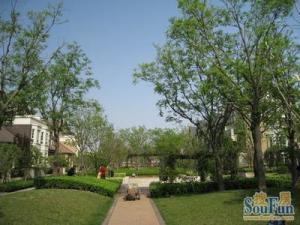 阳光满满的舒适享受,客厅6米大挑空,4室3卫带露台