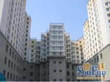 弘善家园一期小白楼东南向两居室