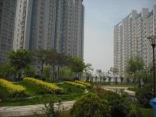 南向精装一居室,普通住宅性质,房龄新小区环境优越