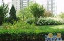空间蒙太奇商住楼实景图
