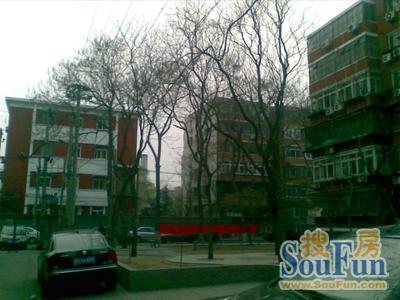  ��������3��1��1����������8000.00Ԫ/�³��� 