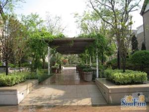 普罗旺世温莎城堡,人车分流小区环境优美,一楼带院子