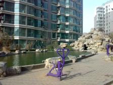 北园大街 鲁能康桥一室一厅 全明户型 带产权地下室