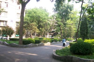 水碓子西里实景图