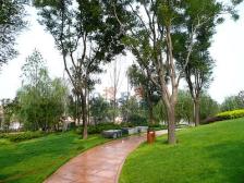 满五唯一大四房,采光充足,视野开阔