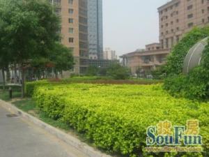 潘家园·嘉多丽园·2室·1厅