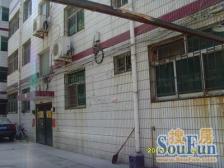 双气4房 诚心卖 户型优质 看房方便