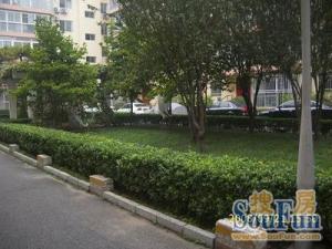 工体幸福一村4室2厅