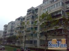 无影山片区(南北通透)全明户型(公摊小、带地下室)