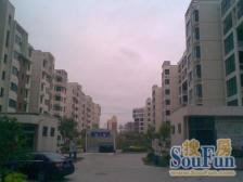 西现代城 70年产权住宅 诚心出售 郑州外国语旁