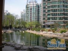 鲁能康桥经典复式,六室四厅三卫,卫浴全明带地下室。