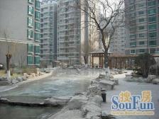 大明湖畔洋房+平层大复式+8室6室朝阳+带车位地下室