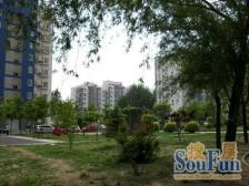 拎包入住满五唯一落地窗电梯房