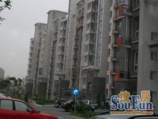 丽园B区 3室1厅 南 北 西