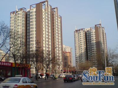 实景图