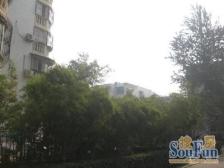 12.13.14三层复试,精装修,带露台,实用面积700