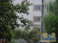 姚望郑东新区,CBD,玉米楼。采光视野一览无遗