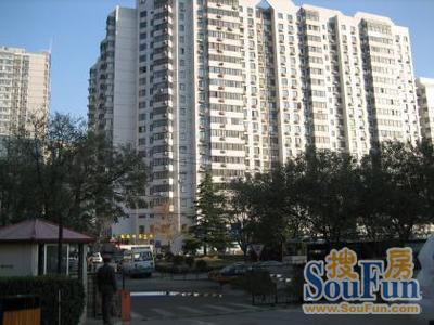 龙珠公寓实景图