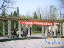 此房是次顶层,楼层高视野采光好,看房方便