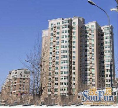 迪阳公寓实景图