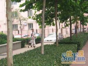 罗庄东里北航南门高楼层视野采光好环境优雅
