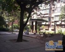 二环外 蒲黄榆二里 精装修两居室 高楼层采光视野好