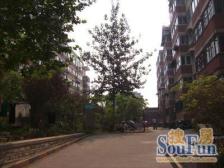 天福苑小区 2室1厅 南