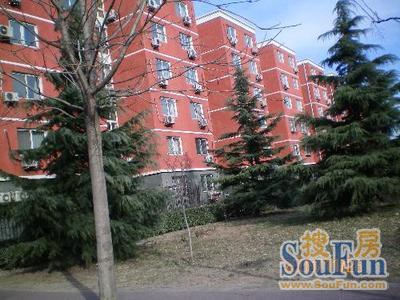 五里店南里实景图