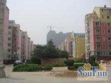 文雅新世界一期 2室1厅 东 西