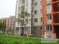 龙腾苑二区3室1厅南北