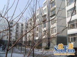 《店长推荐》建国里中间楼层南向两居室