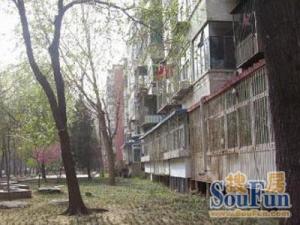 中间层南北通透厨卫全明近地铁公园诚售可签