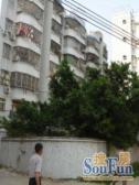 此房南北通透正规一居室采光好无遮挡