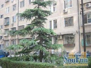 东四环十里堡六号线正规南向精装一居室,业主诚意出售