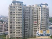 海蔚广场,花园路,洪楼广场,山大路,印象城