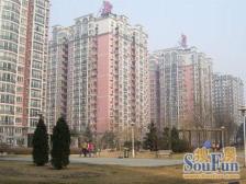 花市枣苑一期 1室1厅 东