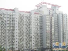 西现代城1室1厅北