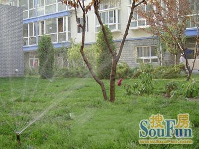  ���⡤��ʤ�š��ۺӽ�Է��1�� 