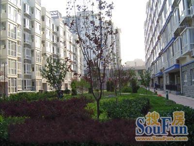  �ۺӽ�Է2��1��1����������11000.00Ԫ/�³��� 