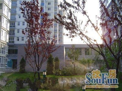  �ۺӽ�Է1��1��1��������6325.00Ԫ/�³��� 