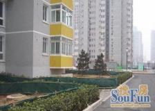 苹果园三区 中间楼层 采光充足 视野开阔 近地铁