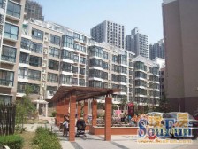 此房满五唯一,精装修双气,采光充足边户视野好