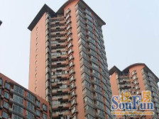 风林绿洲4室1厅南北